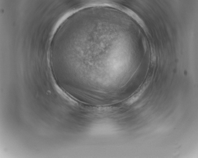 X0000069840958200606021358