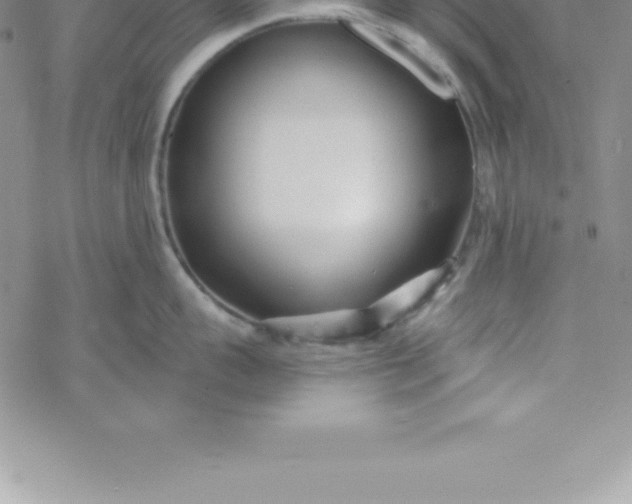 X0000069840959200606021358