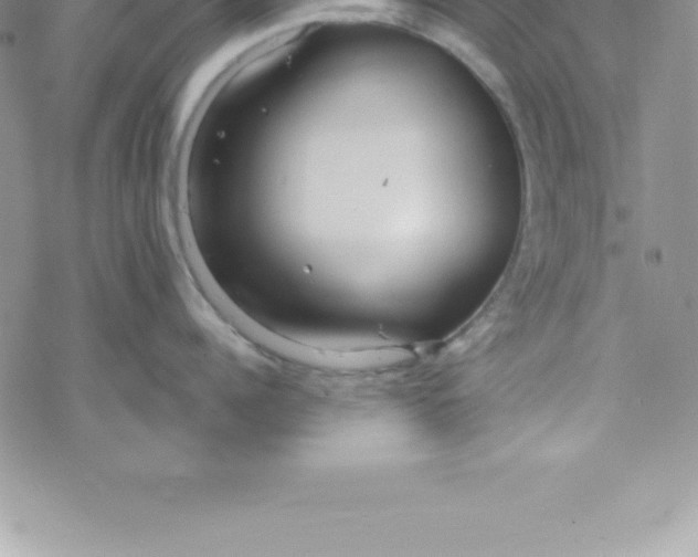 X0000069840960200606021358