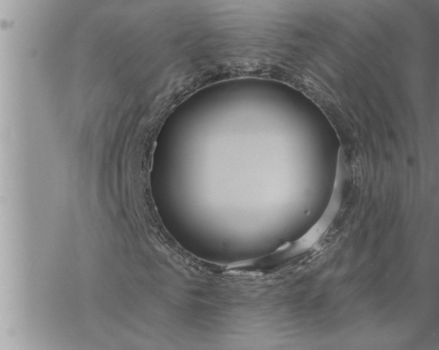 X0000069840961200606021357