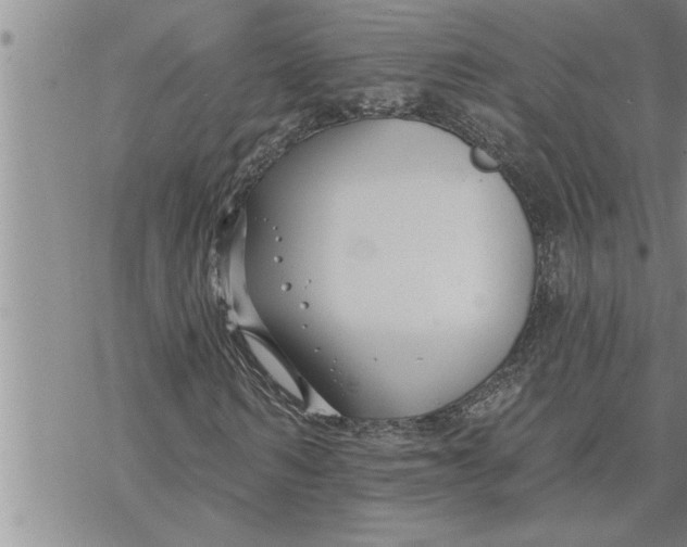 X0000069840962200606021357