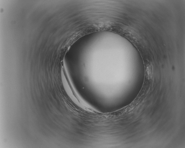 X0000069840963200606021357