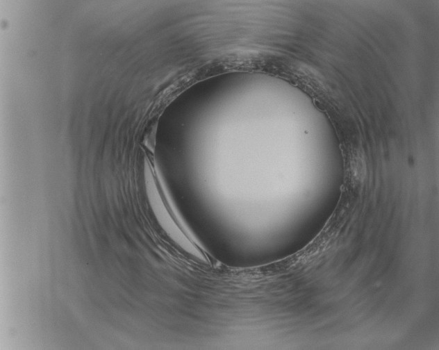 X0000069840964200606021357