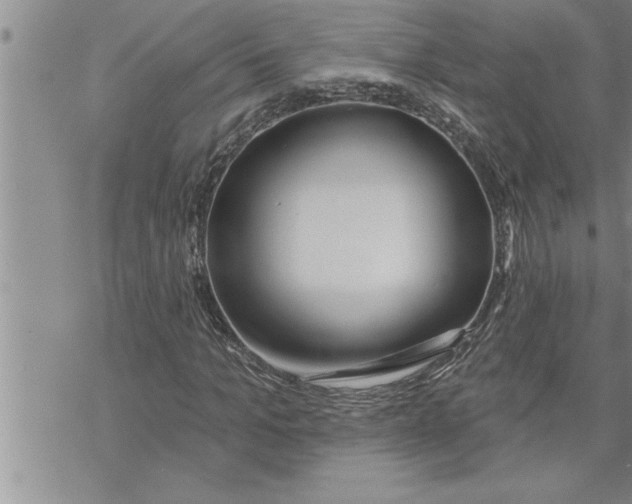 X0000069840965200606021357