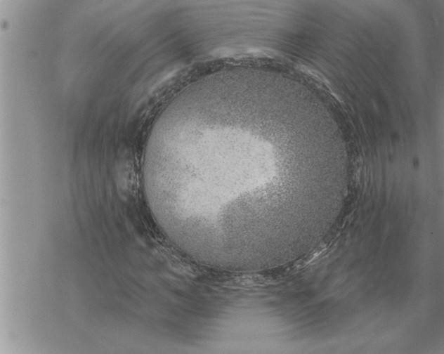 X0000069840966200606021357