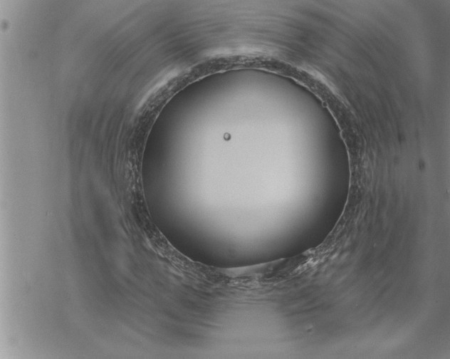 X0000069840967200606021357