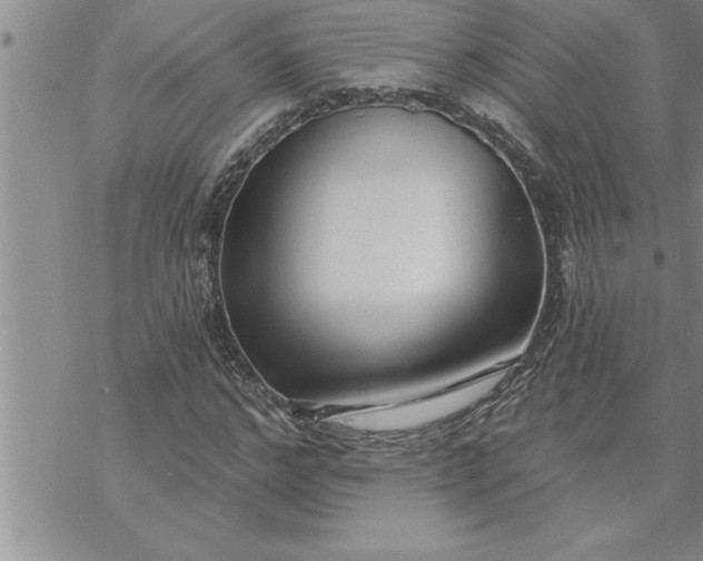 X0000069840968200606021357