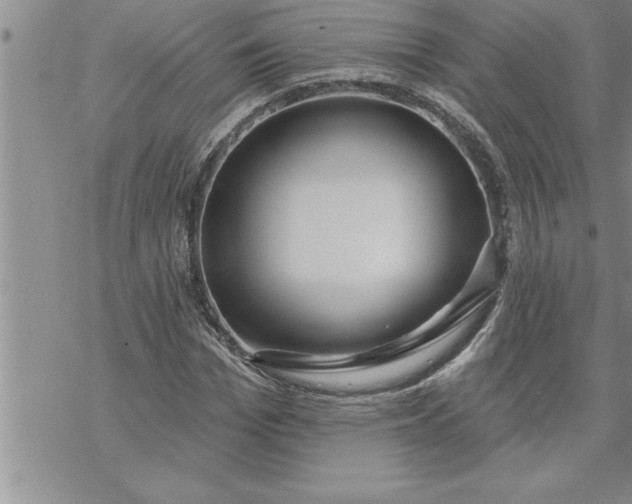 X0000069840969200606021357