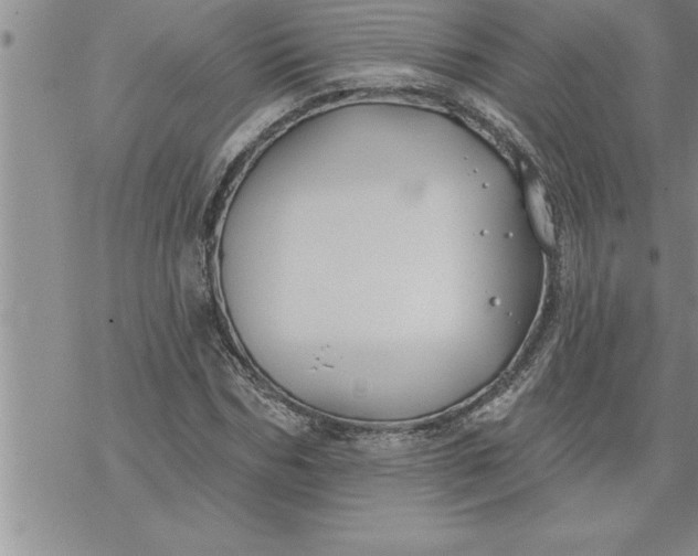 X0000069840970200606021357