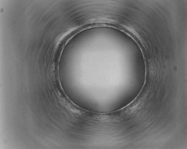 X0000069840971200606021357