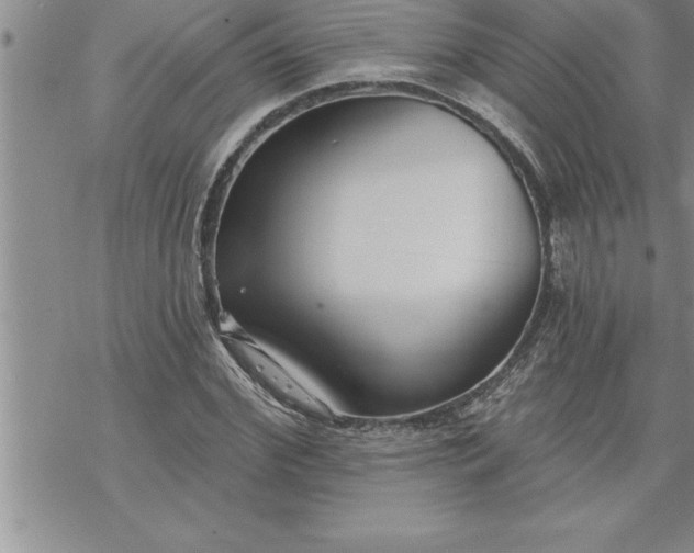 X0000069840972200606021357