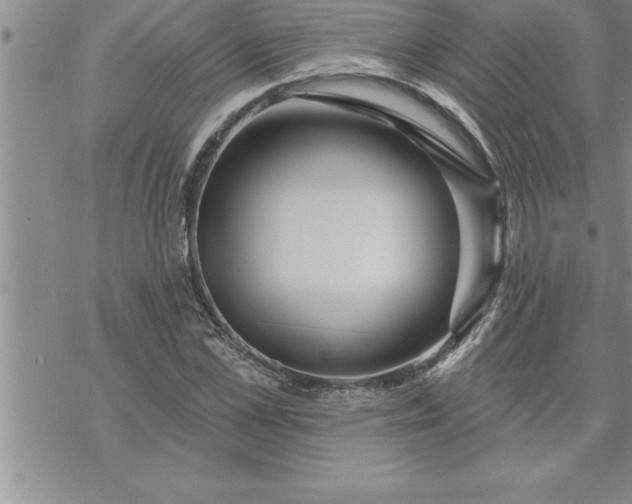 X0000069840973200606021357