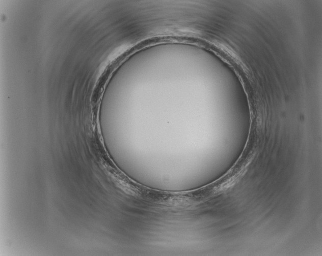 X0000069840974200606021357