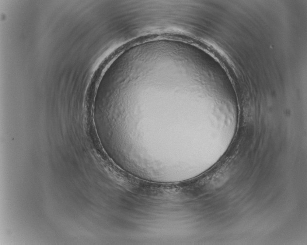 X0000069840975200606021357