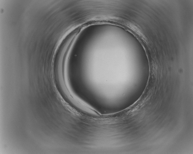 X0000069840976200606021357