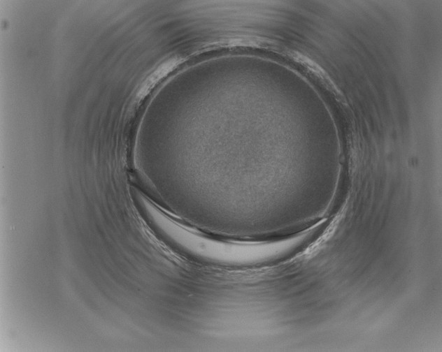 X0000069840977200606021357