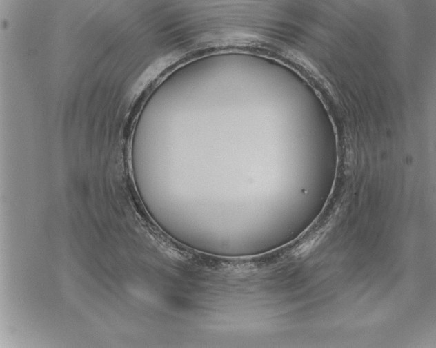 X0000069840978200606021357