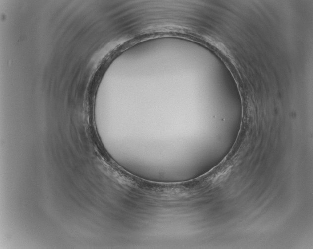 X0000069840979200606021357