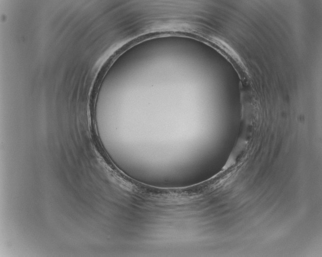 X0000069840980200606021357