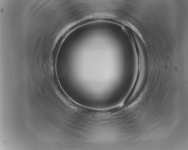 X0000069840981200606021357