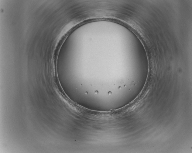 X0000069840982200606021357