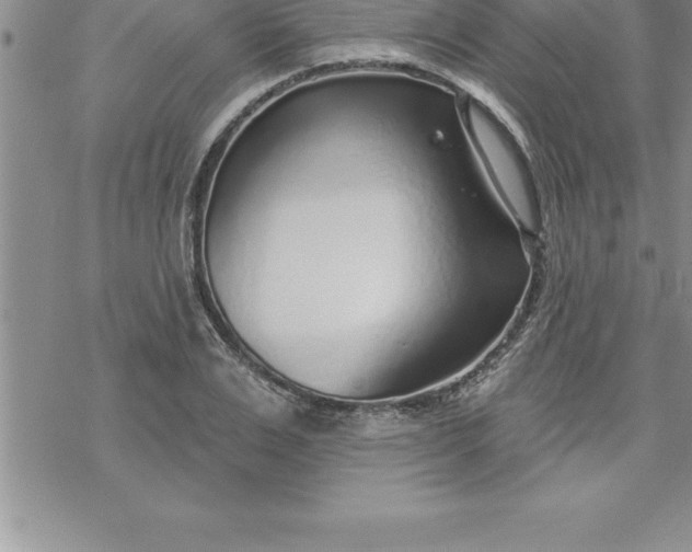 X0000069840983200606021357