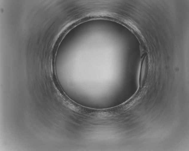 X0000069840984200606021357