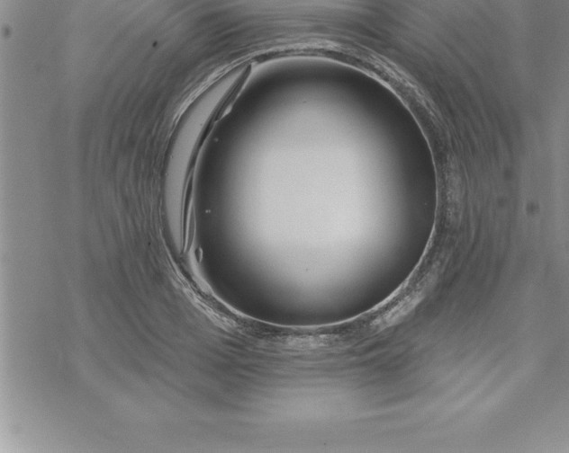 X0000069840985200606021357