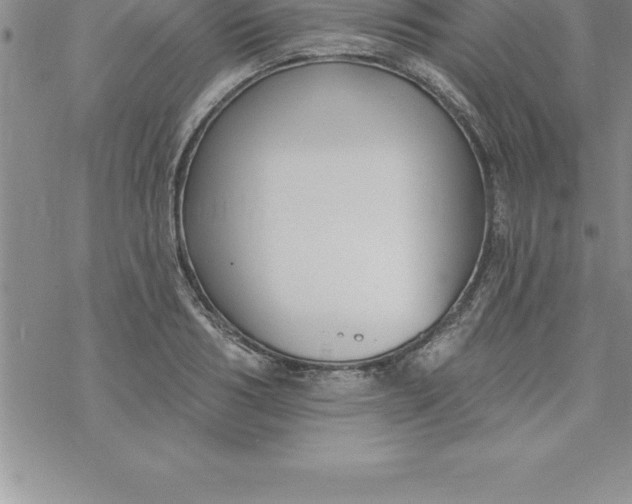 X0000069840986200606021357