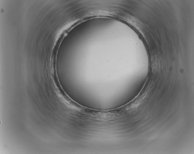 X0000069840987200606021357