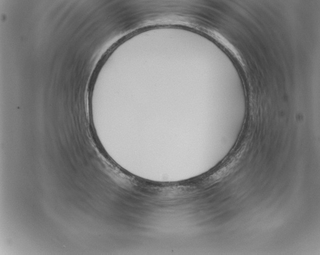 X0000069840988200606021357