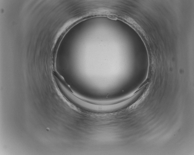 X0000069840989200606021357