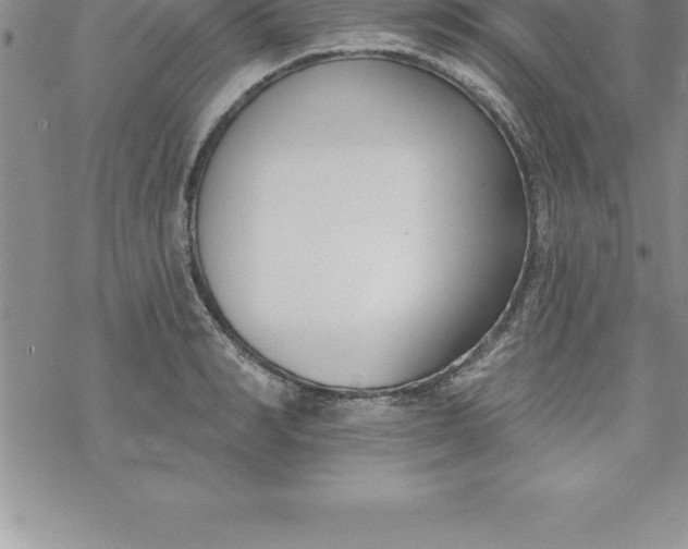 X0000069840990200606021357