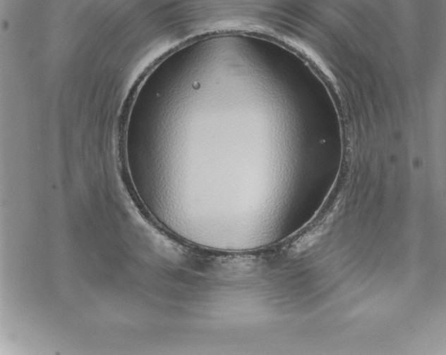 X0000069840991200606021357