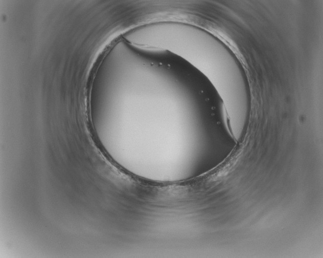 X0000069840992200606021357