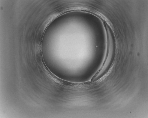 X0000069840993200606021357