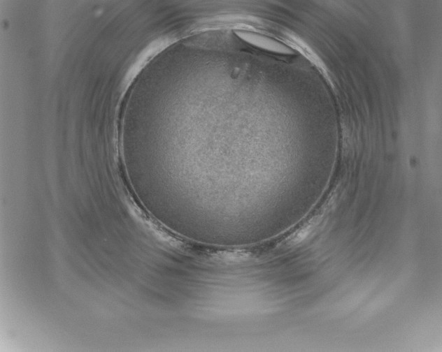 X0000069840994200606021357