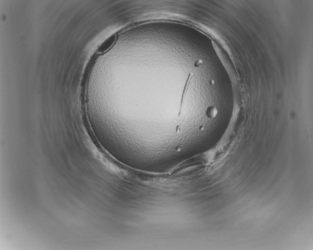 X0000069840995200606021357