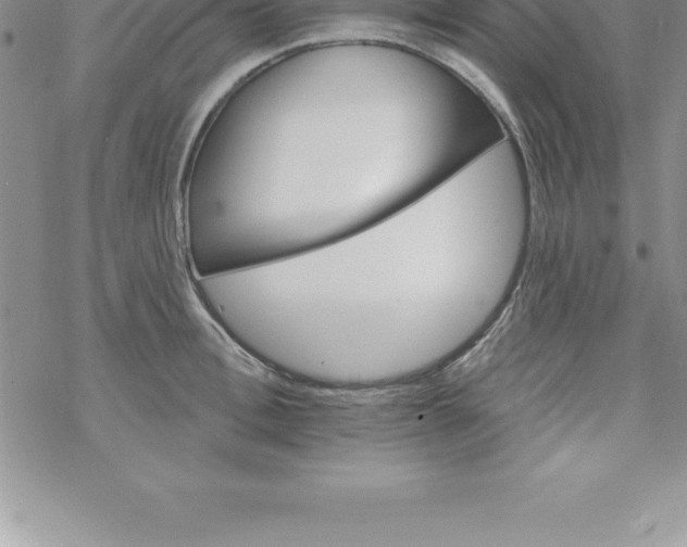 X0000069840996200606021357