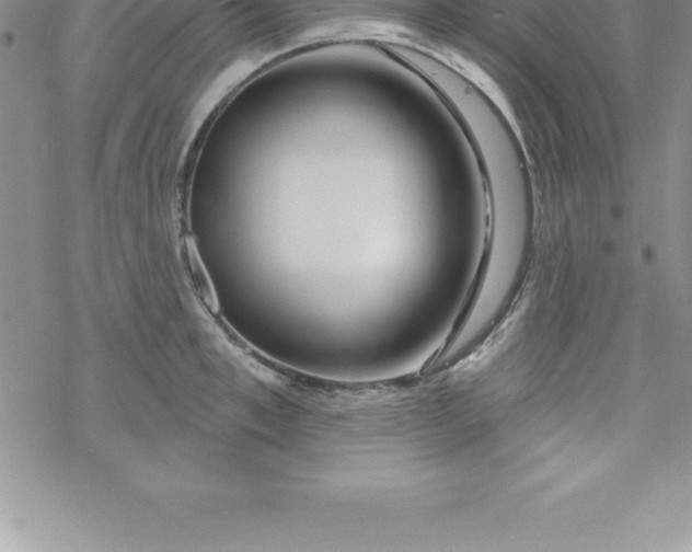 X0000069840997200606021357