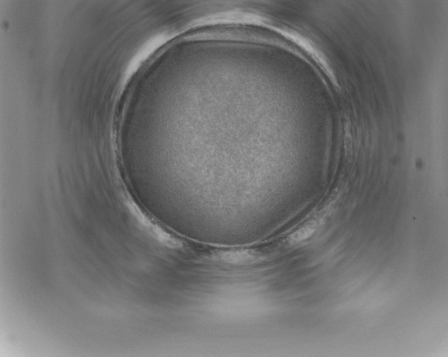 X0000069840998200606021357