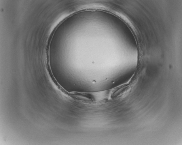 X0000069840999200606021357