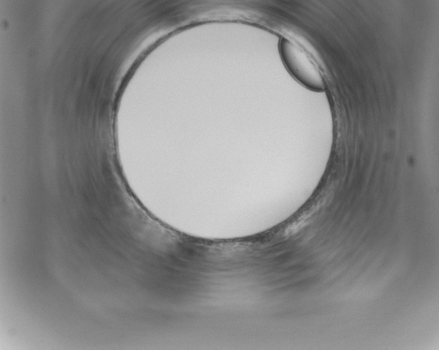 X0000069841000200606021357