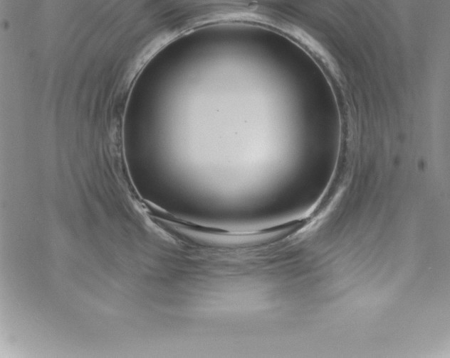 X0000069841001200606021357