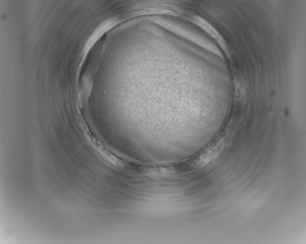 X0000069841002200606021357