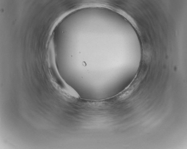 X0000069841004200606021357