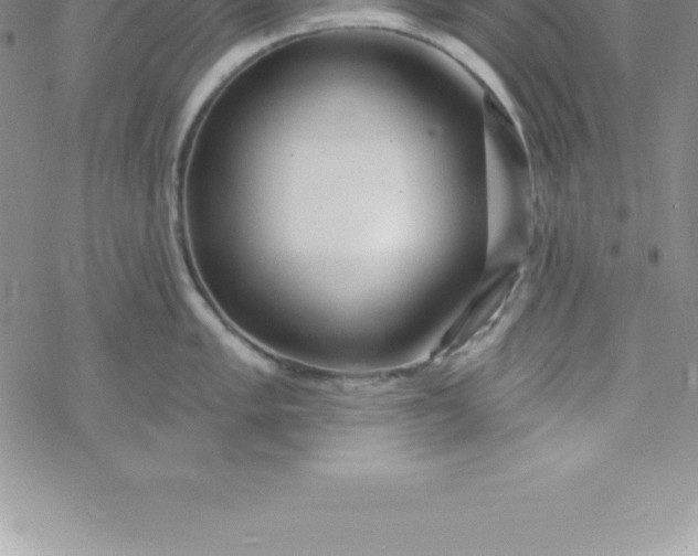 X0000069841005200606021357