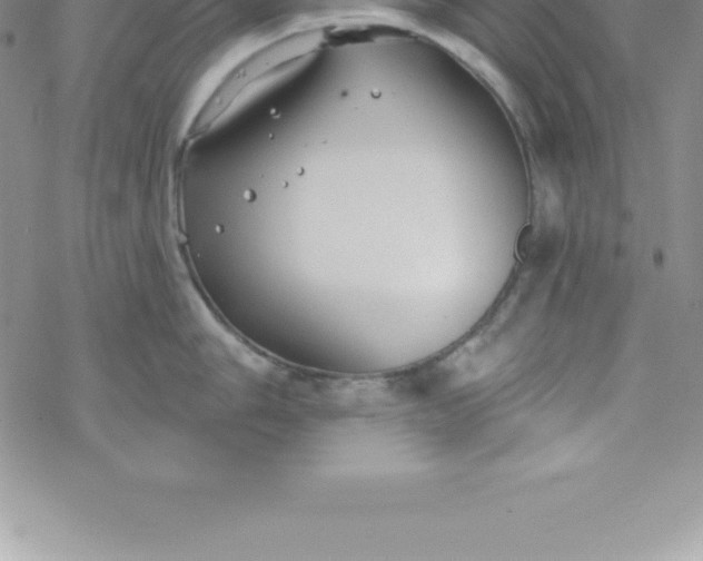 X0000069841006200606021357