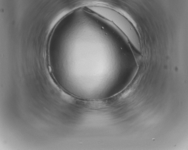 X0000069841007200606021357