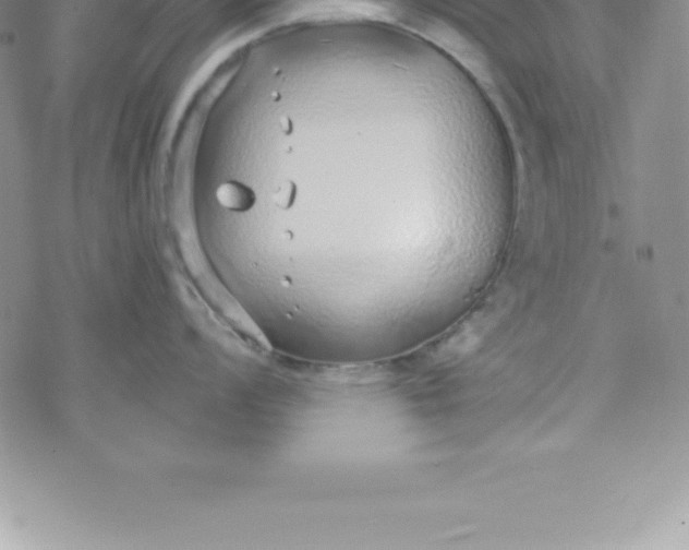 X0000069841008200606021356